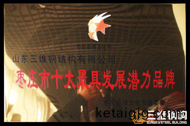 鏋e簞鍗佸ぇ寰堝叿鍙戝睍娼滃姏鍝佺墝
